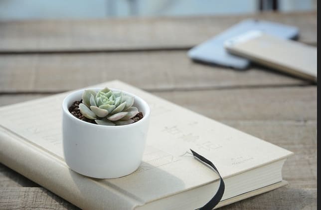 container gardening