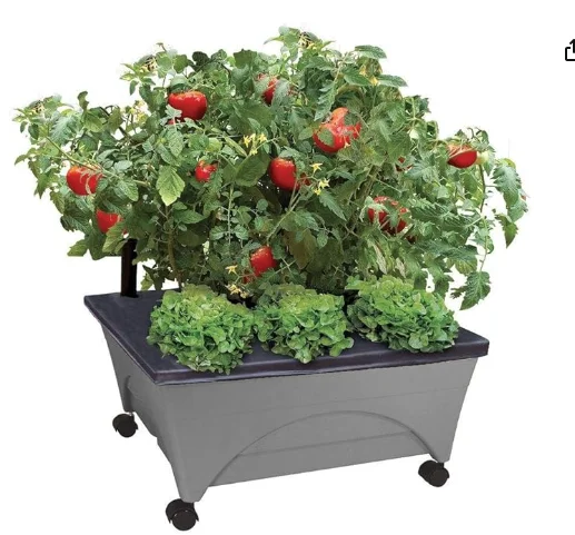 self-watering pot
